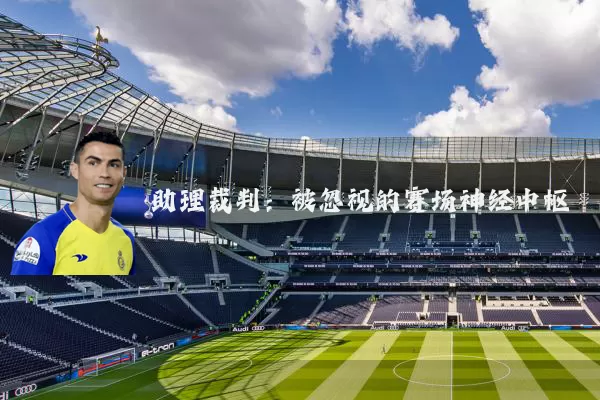助理裁判:被忽视的赛场神经中枢